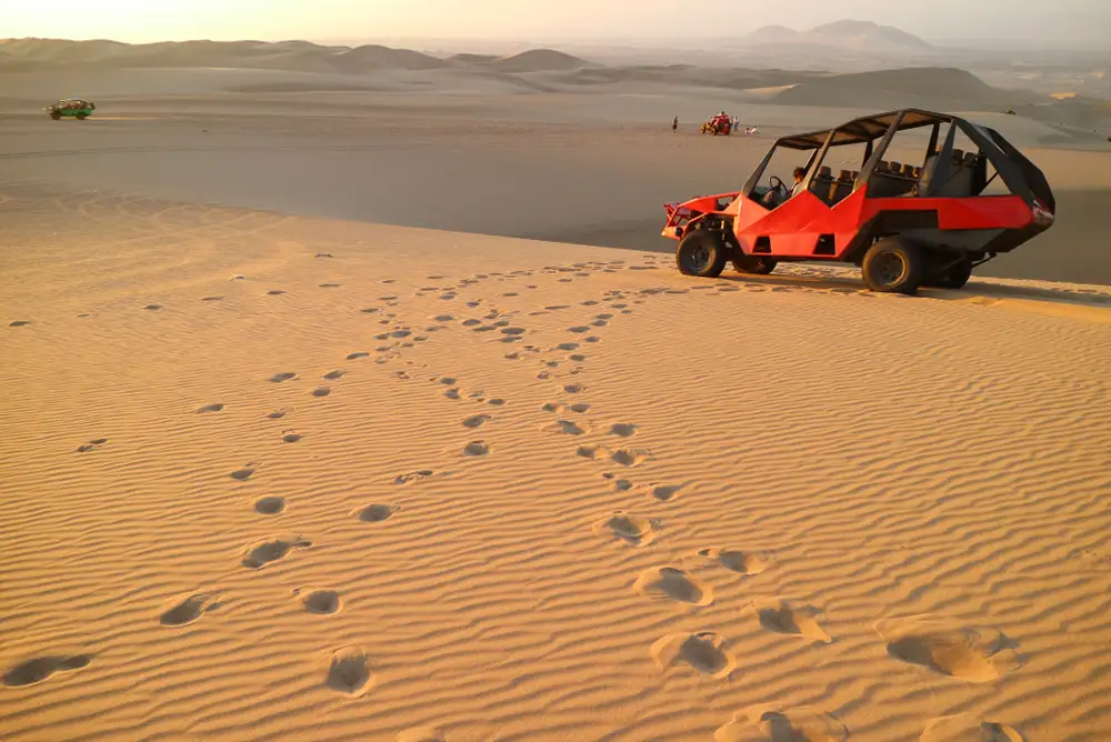 Festivals and Cultural Highlights